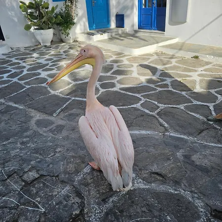 Apartment Draskos Mykonos Town