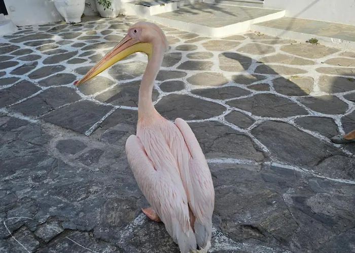 Apartamento Draskos Mykonos Town