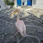 Lejlighed Draskos Mykonos Town
